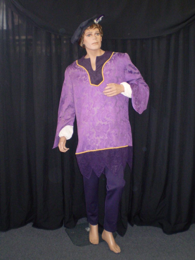 Renassance Prince costume