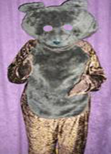 Dark brown bear costume