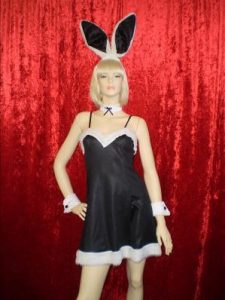 Dress style Playboy bunny costume