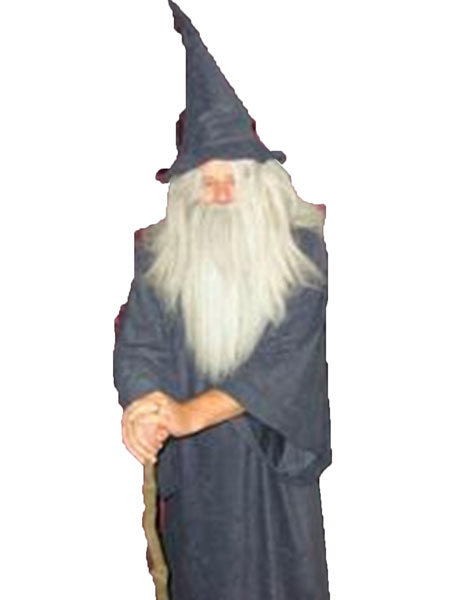 Gandalf the grey style wizard