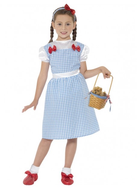 Childs Dorothy style costume