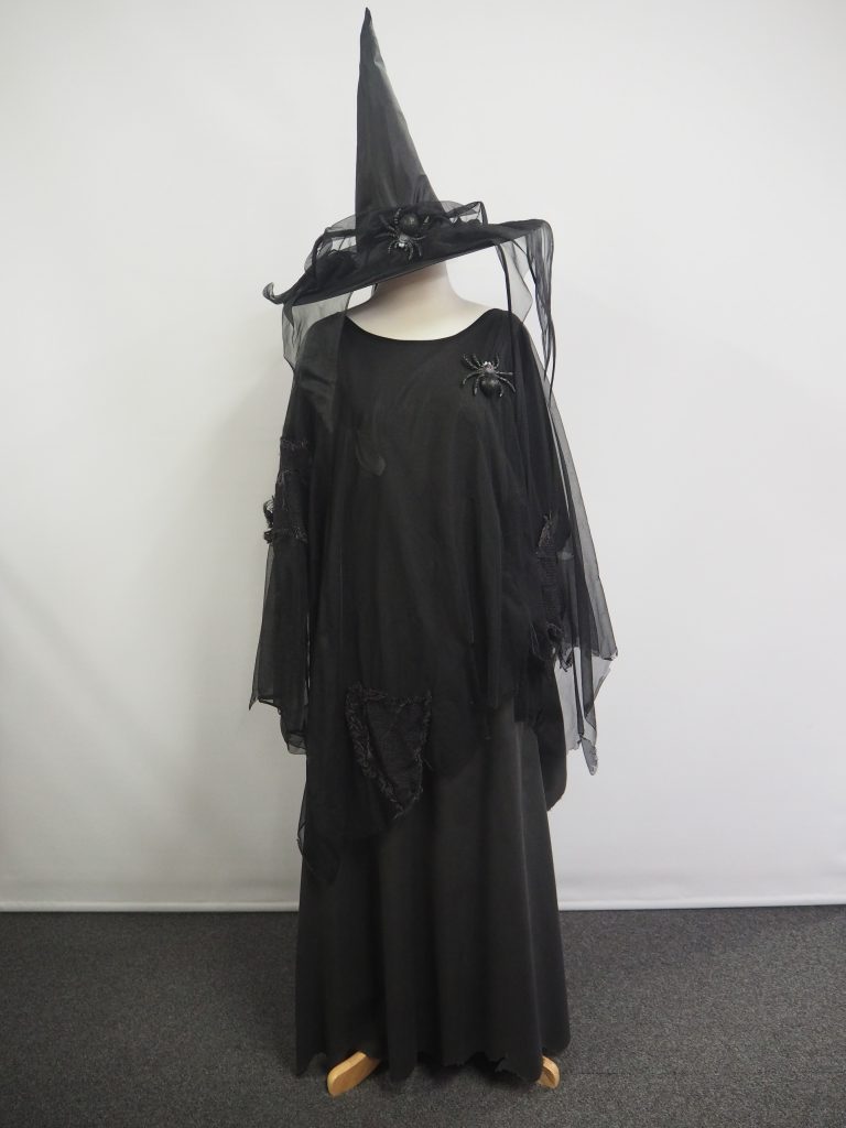 Plus size witch costume