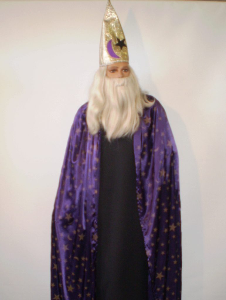 Purple wizard with gold pointed wizard ha