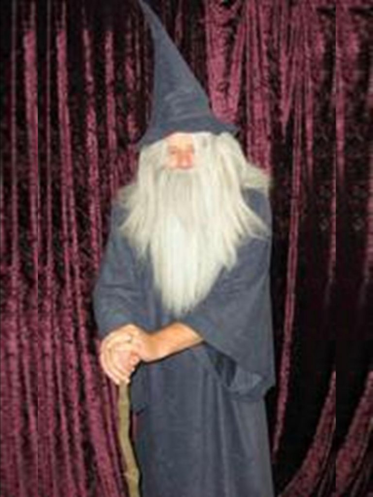 Gandalf the grey style wizard