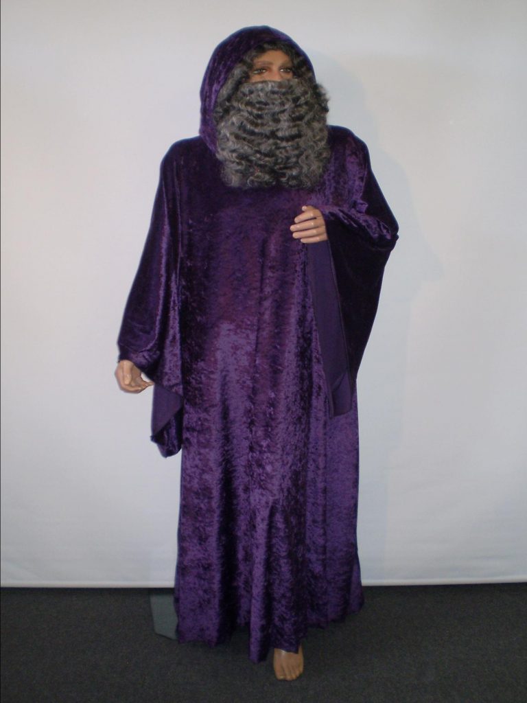 Purple velvet hooded wizard