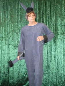 Shrek style Donkey costume