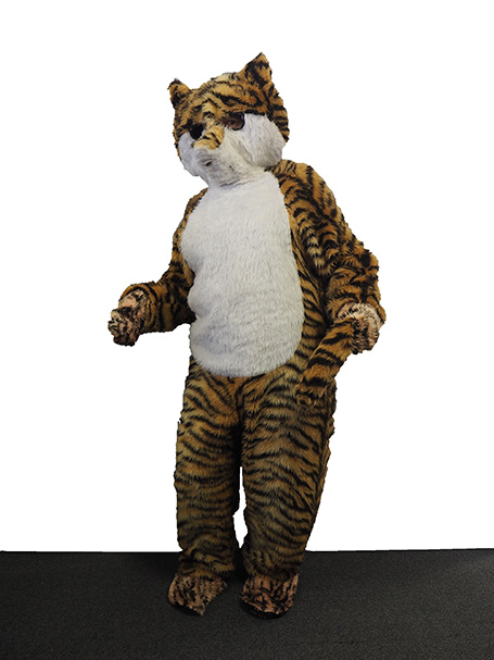 Tiger costume