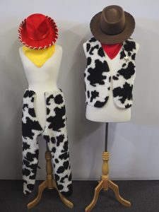 Woody & Jessie costume accessories