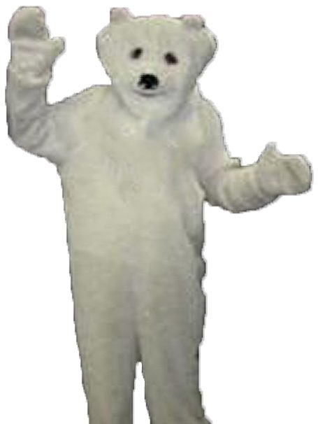 Polar bear/Bundy bear costume