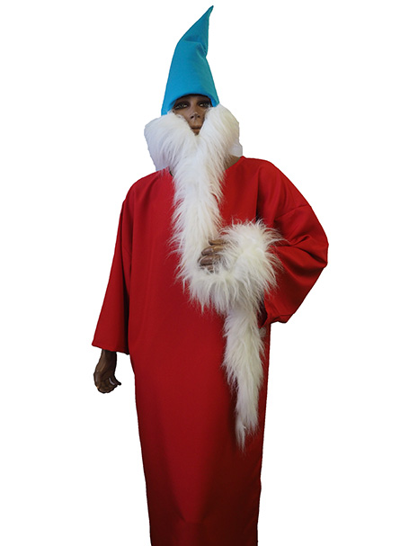 Wizard Whitebeard costume