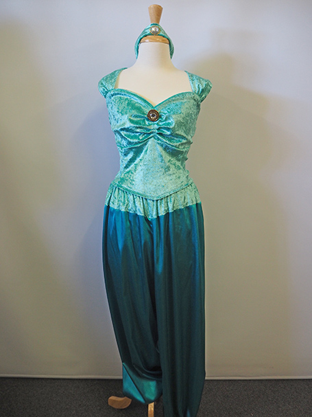 Jasmine aladdin costume adults shop
