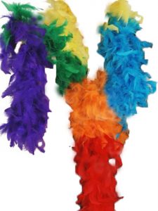 Rainbow feather boa