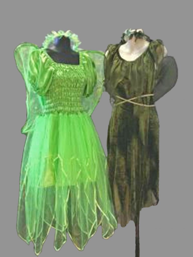 Adult green fairy costumes