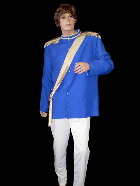 Prince Charming costume
