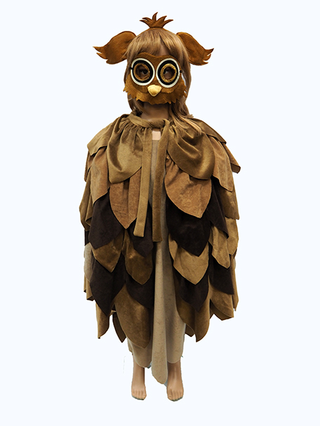 Picture shows child dressed as a brown owl.