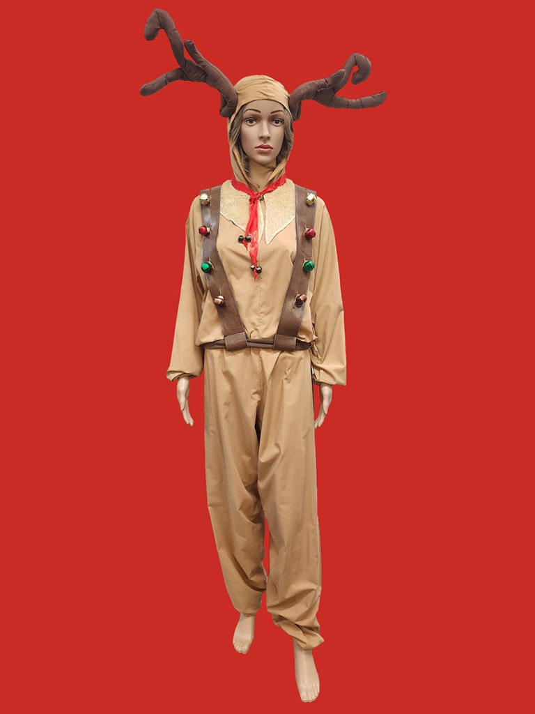 Reindeer costume Sydney