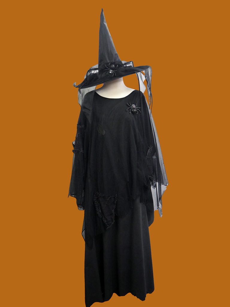 Plus size witch costume