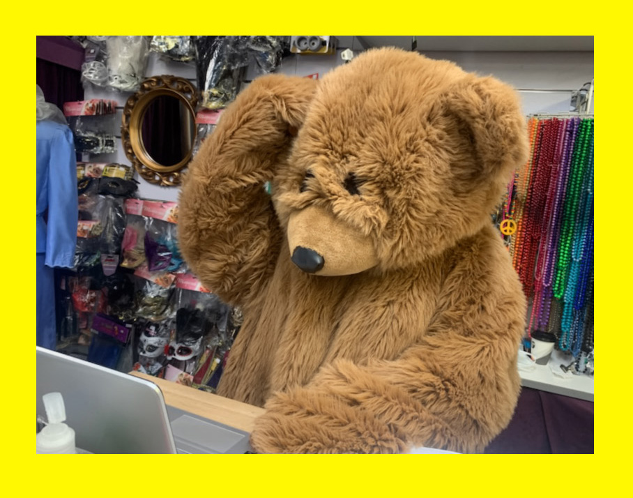 How much does it cost to hire a costume. Image shows someone in a costume shop dressed in a bear costume, the bear is looking something up on the computer.