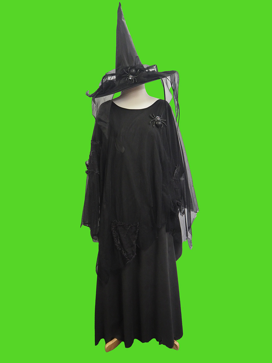Plus size ragged witch costume